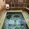 ～2023年春 鹿児島湯めぐりの旅　その①～　　　　　　　　　　　　　　　　　　　　　　澄み渡った泉のように美しい足元湧出泉・湯川内温泉かじか荘　