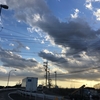 それは、逆転移。