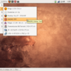 EeePC901にUbuntu8.10をインストールする方法まとめ