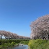 『御蕎麦ちきた』朝倉市秋月（花見）