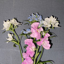 つれづれにっき