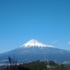 野田山中腹からの富士山　綺麗です