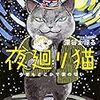 野良猫③