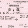 ホームウェイ89号　特別急行券