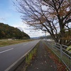 SONY α7cでZEISS FE16-35mm F4を使用＠福井県おおい町