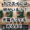 【カワスイに何がいる？】水族館＋猫カフェ＆犬カフェ！料金・所要時間も徹底解説