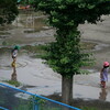 朝のうちに大雨、みずたまりが出来ました。