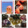 【企画展】7月前半展～初夏の我が子展／オルゴナイト展／鬼灯展～