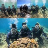 ベッタリ凪の海で潜ります。