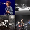 BLANKEY JET CITYに対する偏愛(プレイリスト30曲分)3/3