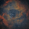 NGC2237-9,2246　いっかくじゅう座　ばら星雲