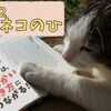 2月22日【猫の日😻】に学ぶ柔軟な生き方〜🐈