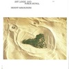 DESERT MARAUDERS／ART LANDE