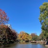 “オヤジたちの楽園”「平和の森公園」（東京の紅葉穴場スポット）
