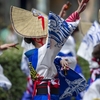 よさこい祭りに関する雑学！