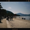 Photo No.1880 / 明日から復帰