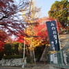 西江寺裏山へ紅葉狩り「檻（おり）、見～つけた！」