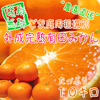 和歌山県産有田みかん(10キロ)の予約販売！産地直送価格訳ありはお得