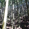 昨日の秩父界隈は春の嵐＋。