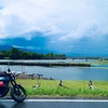 悲しみ2ヤング