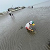 子連れ潮干狩り〈金田みたて海岸〉