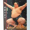 日ごろから不利な状況を想定しておく～舞の海氏が綱とりの稀勢の里に指摘