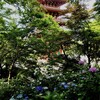 第1475回　日本人の心がどう作られてきたか（続）。縄文と渡来系文化のあいだ。