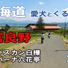 VLOG 北海道 中年夫婦と愛犬とキャンピングカーの旅 2020 EP 03　～富良野でお腹いっぱいでーす～