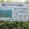  昔の霞ヶ浦にアサザは無かった（１）