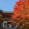 【京都】鞍馬寺は部分紅葉♡いざ、パワースポットへ！