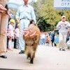「言葉の精度」と垂れ流し