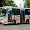 信南交通 / 松本200か ・699