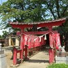 境稲荷神社の焦茶狐が白狐に♪