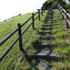 堂山古墳群・前編（堂山2号墳） 大阪府大東市寺川