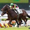 アルアイン鞍上ルメール「3000mはいけると思います」/菊花賞共同会見