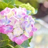 「またやってしまった」と責める前に〜脳の疲れを癒し悪習慣を変える