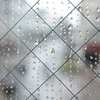 ようやく雨