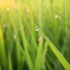 梅雨が明けた・・・