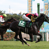 日曜競馬　展望