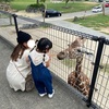 動物たちを間近にみれる！姫路市にある「姫路セントラルパーク」へ行ってきました