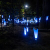 宮城県仙台市：勾当台公園 Blue Light Flower Garden