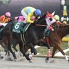 日曜競馬　回顧