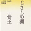 小川国夫「あじさしの州　骨王」