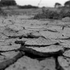 心不全における皮膚の乾燥は予後を悪化させるかもしれない