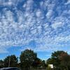 秋の空＆断捨離