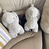隠す　という行為