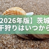 【2026年版】茨城の潮干狩りはいつから？初心者向けに時期と注意点を解説