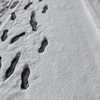 雪が積もっていた