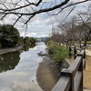 大村公園（玖島城址）