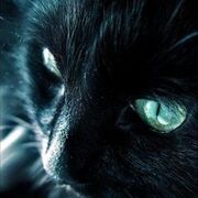 黒猫さんマジかっこいい 厳選黒猫画像枚と黒猫にまつわる話 猫画像まとめ もふぬこ動画 画像 黒猫さんマジかっこいい 厳選黒猫画像枚と黒猫にまつわる話 猫画像まとめ もふぬこ動画 画像